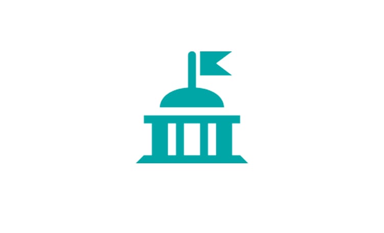 Government Icon